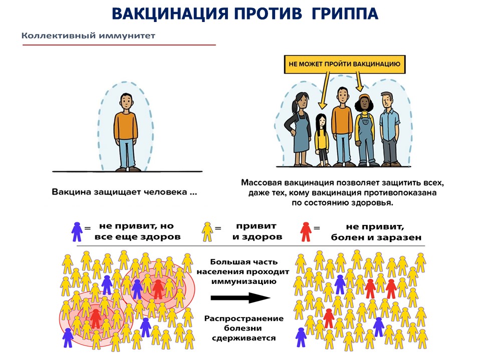 изображение_viber_2025-11-03_23-49-59-442