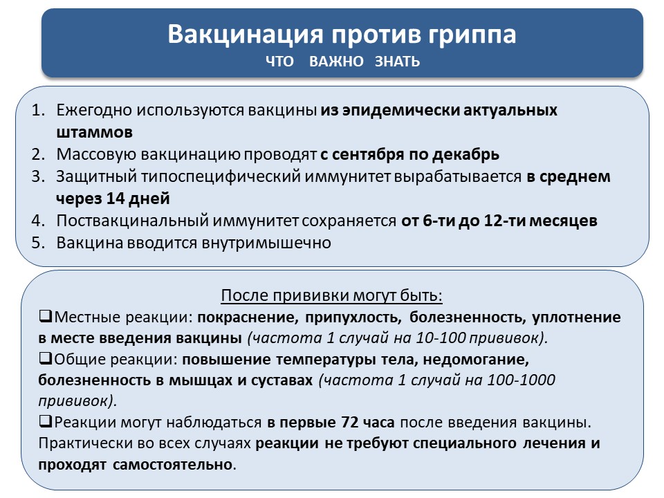 изображение_viber_2025-11-03_23-50-01-312