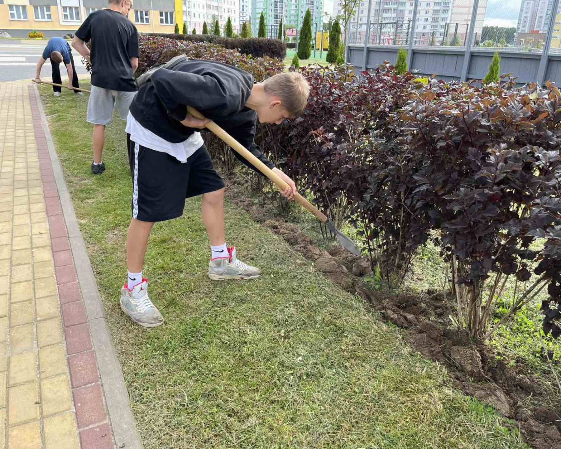 изображение_viber_2025-08-20_19-39-58-533