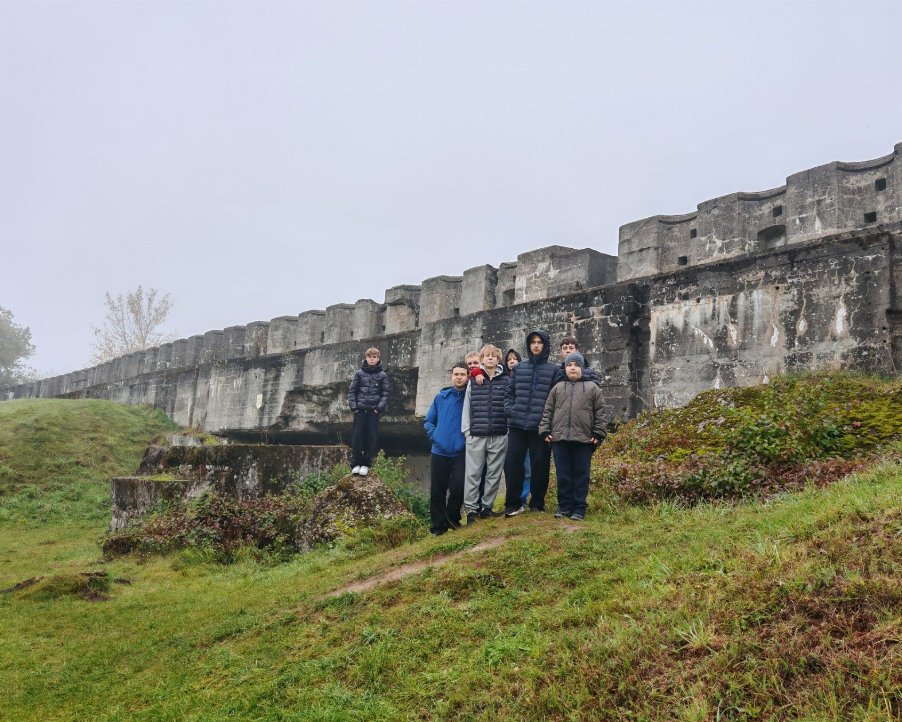 изображение_viber_2025-11-03_22-13-19-318