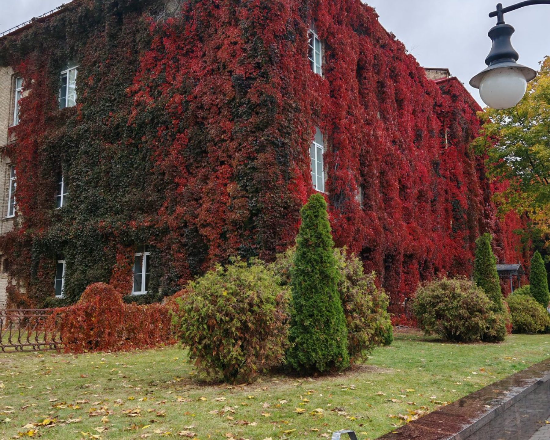 изображение_viber_2025-11-03_22-13-22-631