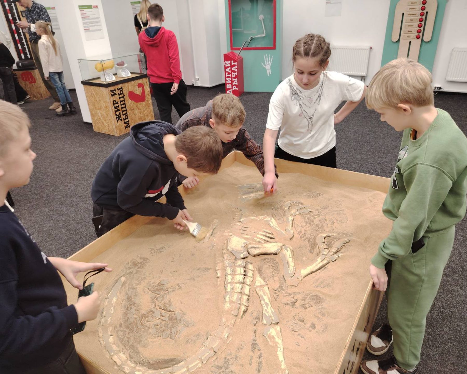 изображение_viber_2025-11-03_22-15-07-948