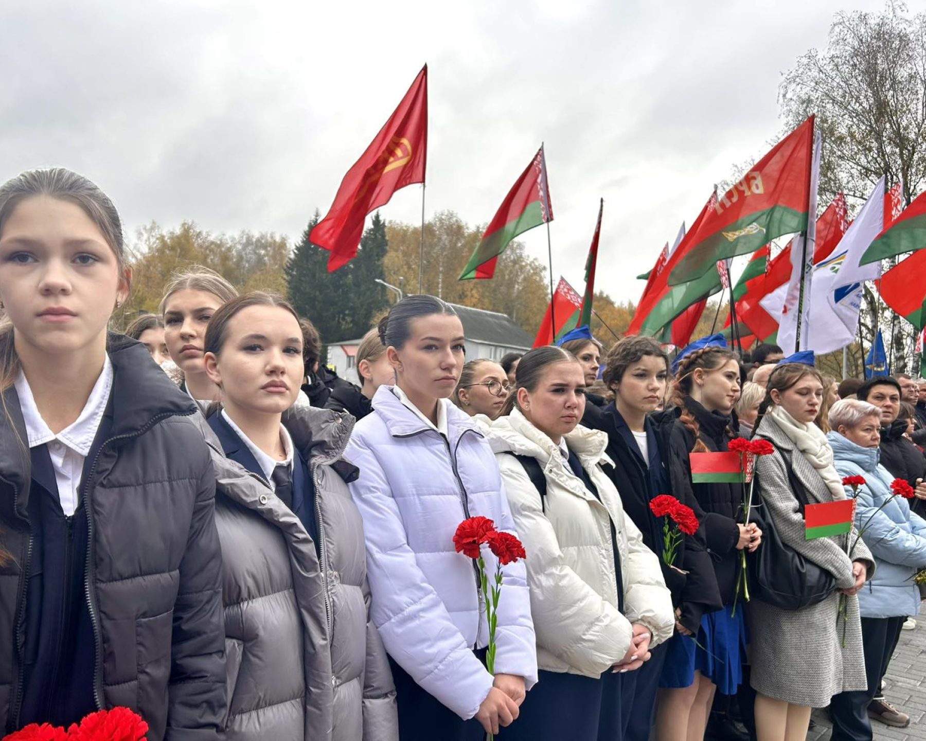 изображение_viber_2025-11-03_22-15-52-464